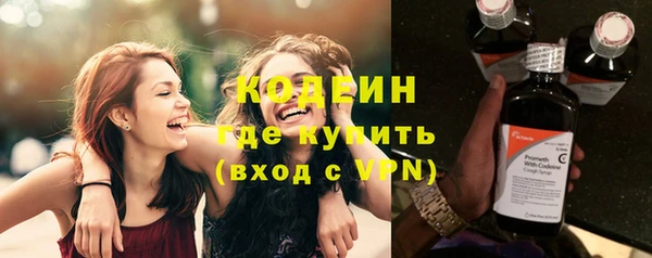 соль ск Инсар
