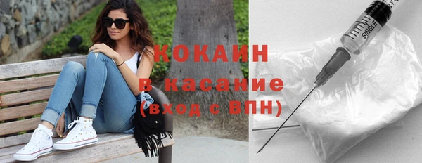 соль ск Инсар