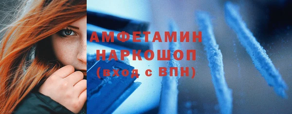 соль ск Инсар