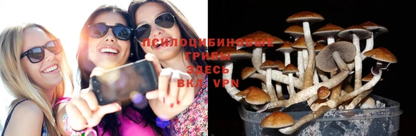мяу мяу мука Иннополис