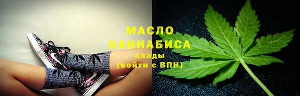 соль ск Инсар
