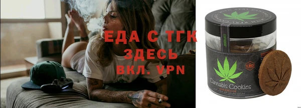 соль ск Инсар