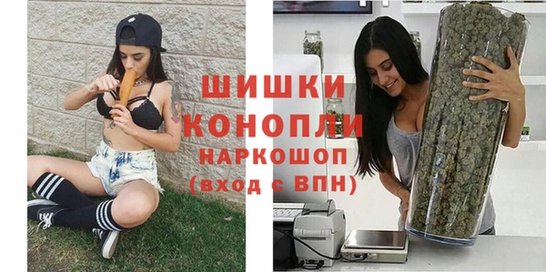 соль ск Инсар