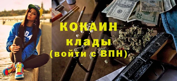 соль ск Инсар