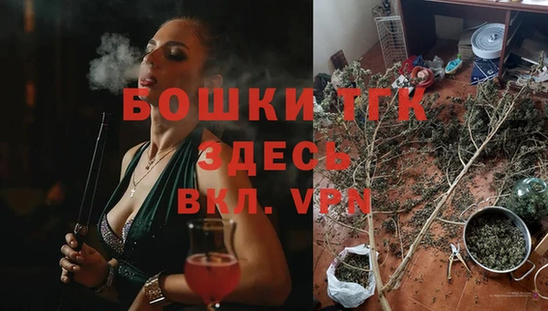 мяу мяу мука Иннополис