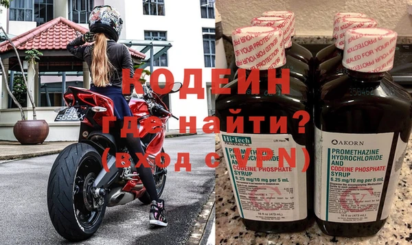 мяу мяу мука Иннополис