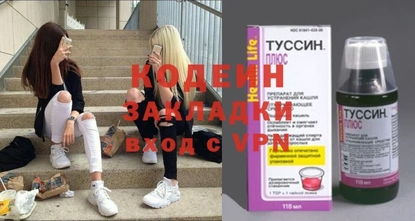 соль ск Инсар