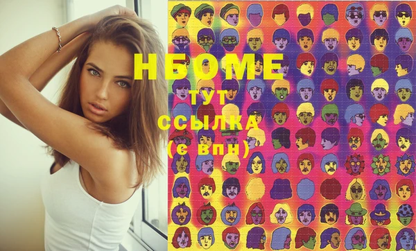 соль ск Инсар